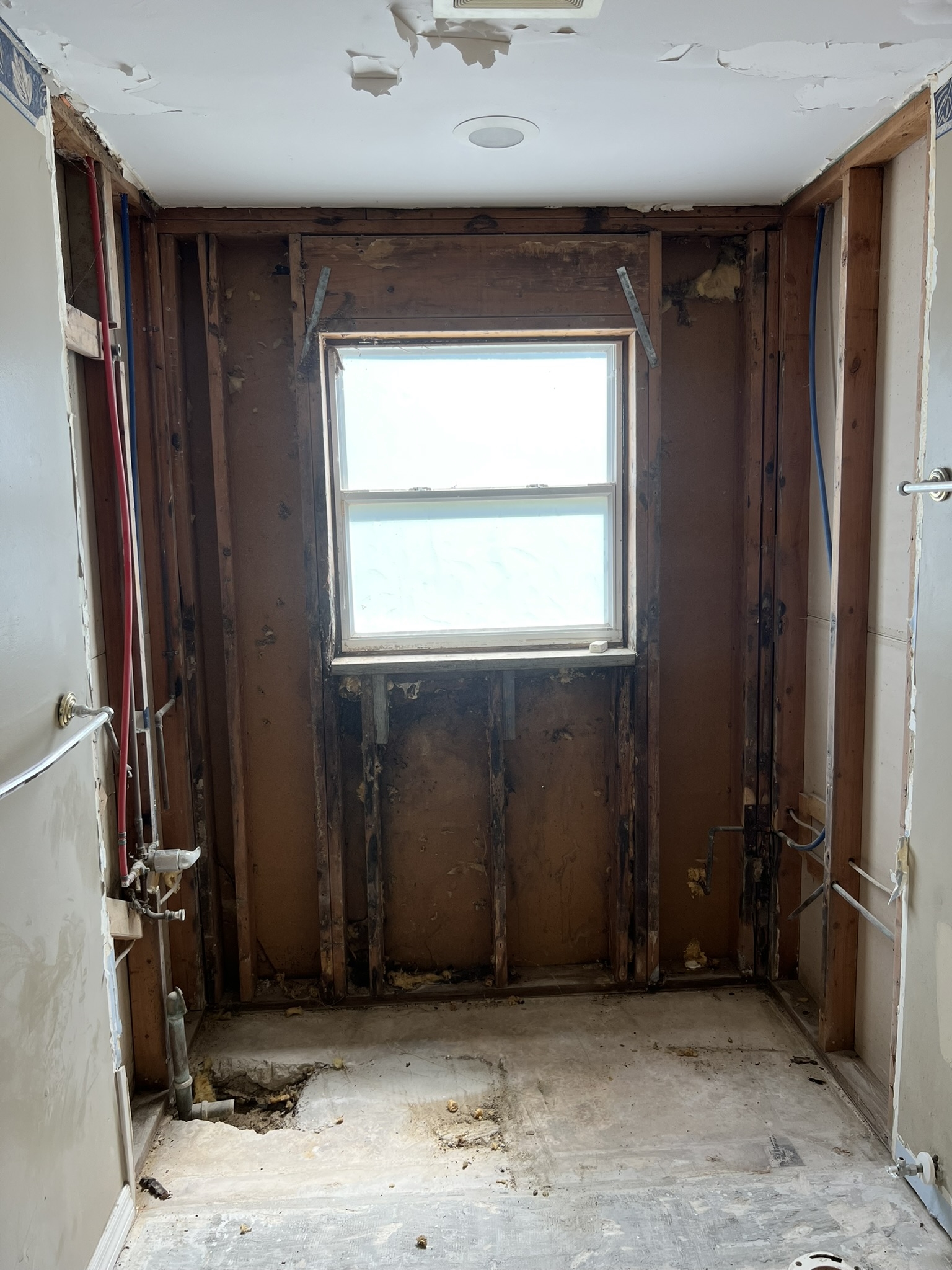 Old insulation removed and exposed rot in the exterior wall frame