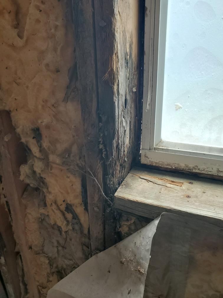Exposed rot in the exterior wall