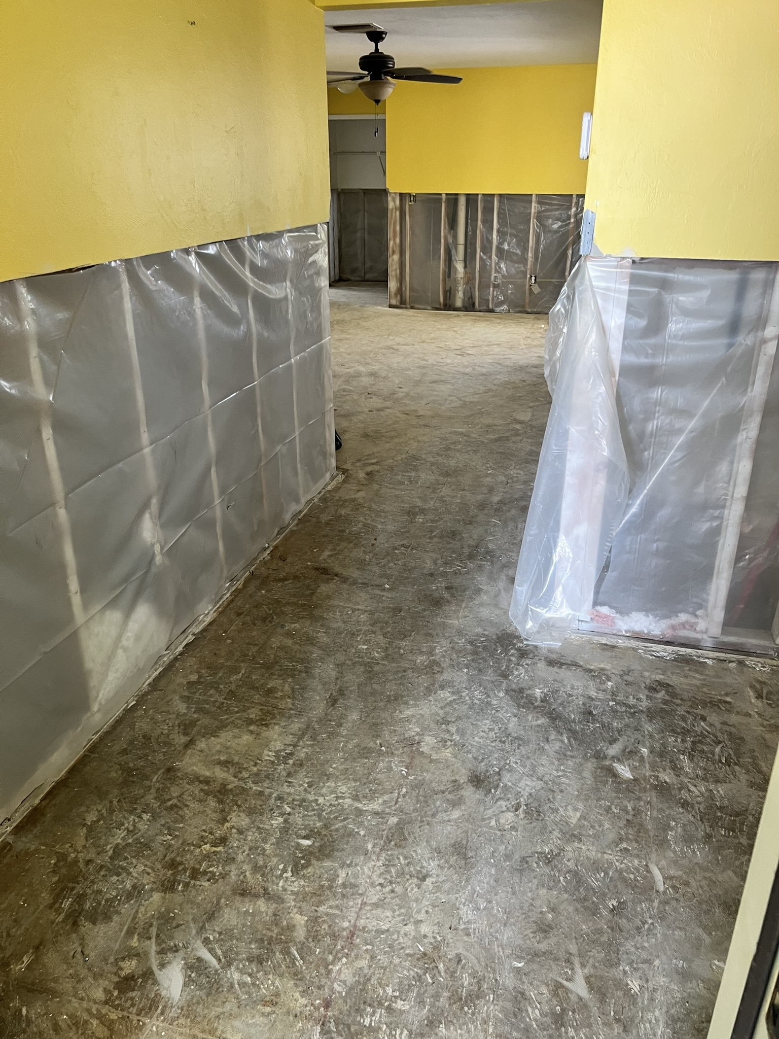 Removal of interior walls to four feet high and all existing flooring