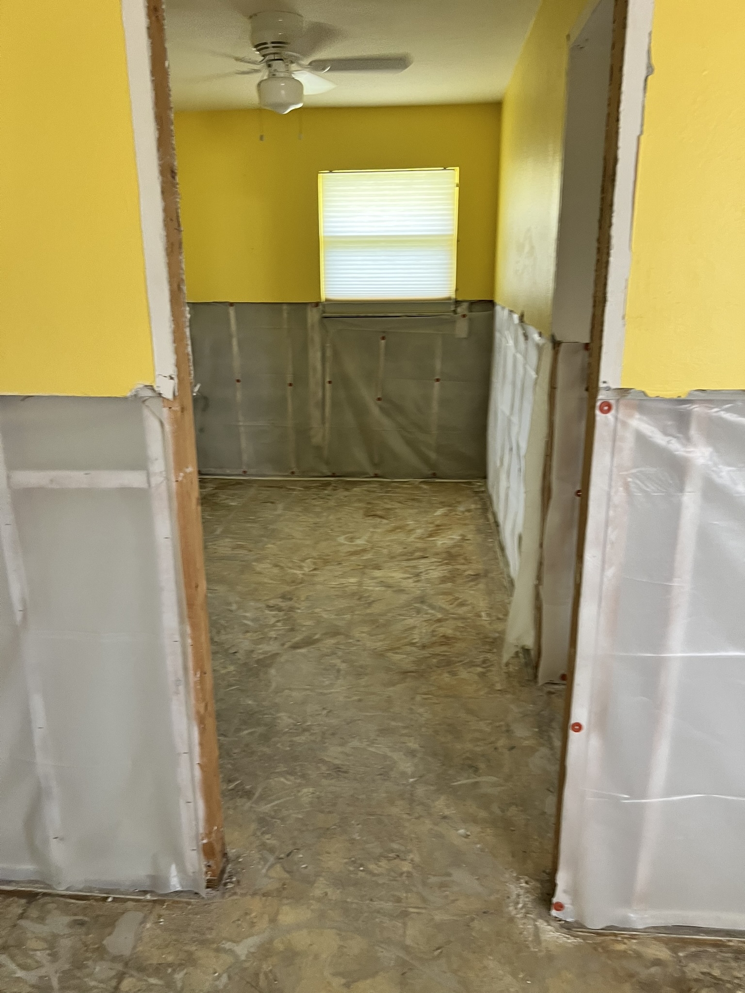Removal of interior walls to four feet high and all existing flooring